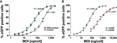 Evaluation of the SH-SY5Y cell line as an in vitro model for potency testing of a neuropeptide-expressing AAV vector